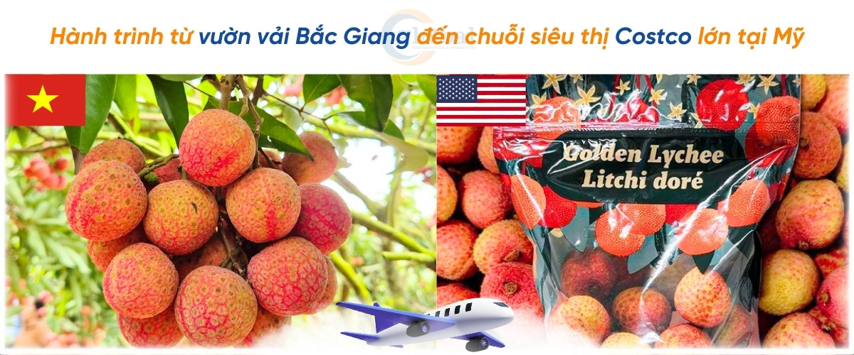 cau chuyen thanh cong