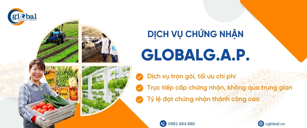 dich vu chung nhan global gap