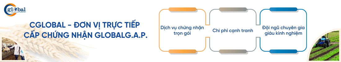 dich vu cua clogbal