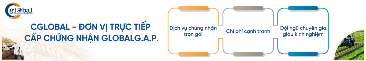 dich vu chung nhan cua cglobal