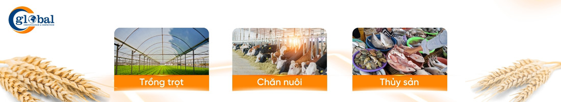 pham vi tieu chuan