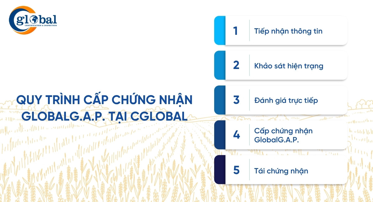 quy trinh chung nhan globalgap