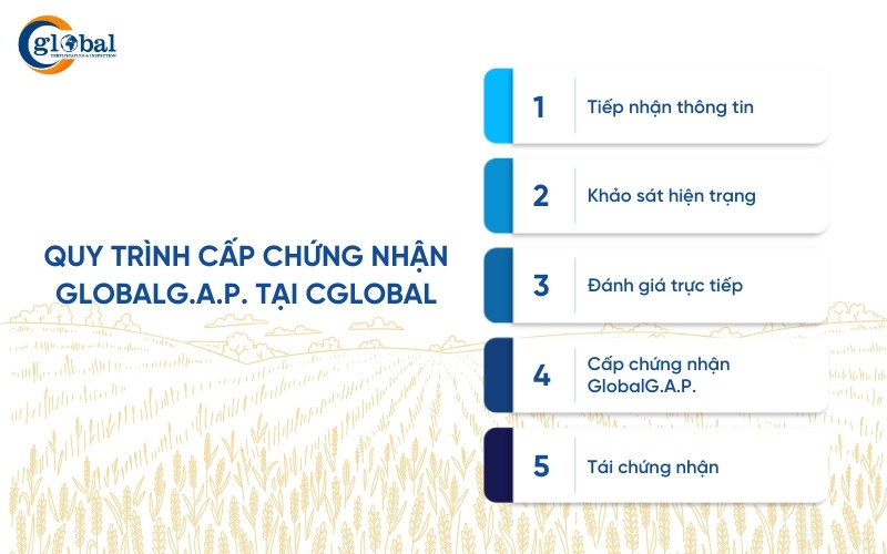 quy trinh chung nhan globalgap