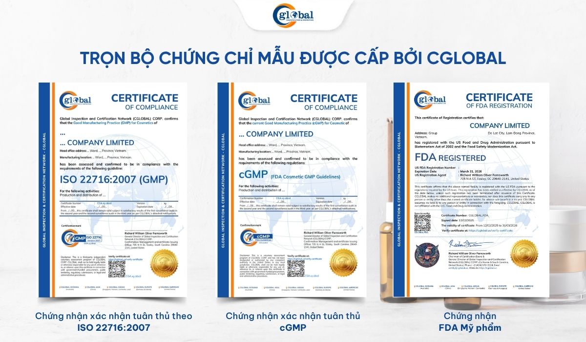 Chứng chỉ mẫu