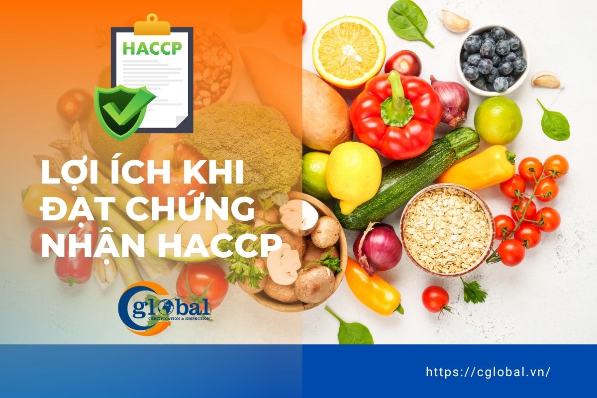 Lợi ích khi đạt chứng chỉ HACCP