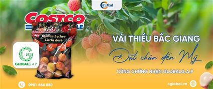 CGLOBAL Đồng Hành Cùng Công Ty TNHH Dragonberry Việt Nam Trên Hành Trình Đưa Vải Thiều Bắc Giang Đặt Chân Vào Thị Trường Mỹ