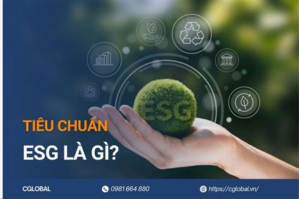 Tiêu chuẩn ESG là gì? 3 trọng tâm doanh nghiệp cần biết khi thực hiện