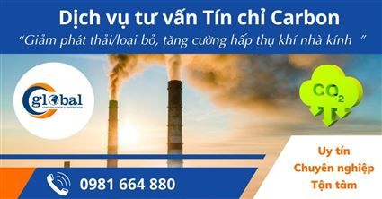 Dịch vụ tư vấn xây dựng dự án giảm phát thải/loại bỏ, tăng cường hấp thụ khí nhà kính - Tín chỉ Carbon