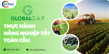 Chứng nhận GLOBALGAP version 6 – Tiêu chuẩn quốc tế nâng tầm giá trị nông sản xuất khẩu