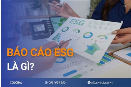 Báo cáo ESG là gì? Quy định và quy trình lập báo cáo hiệu quả
