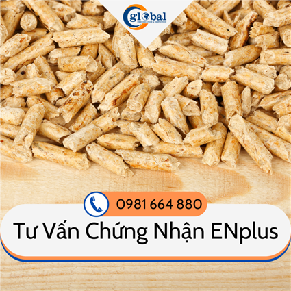 Dịch vụ Tư vấn Chứng nhận ENplus viên nén gỗ đạt ENplus A1, ENplus A2, ENplus B – Đủ điều kiện xuất khẩu Châu Âu