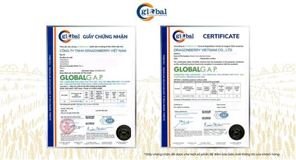 Chứng nhận Global GAP là gì? Chi phí và quy trình đăng ký